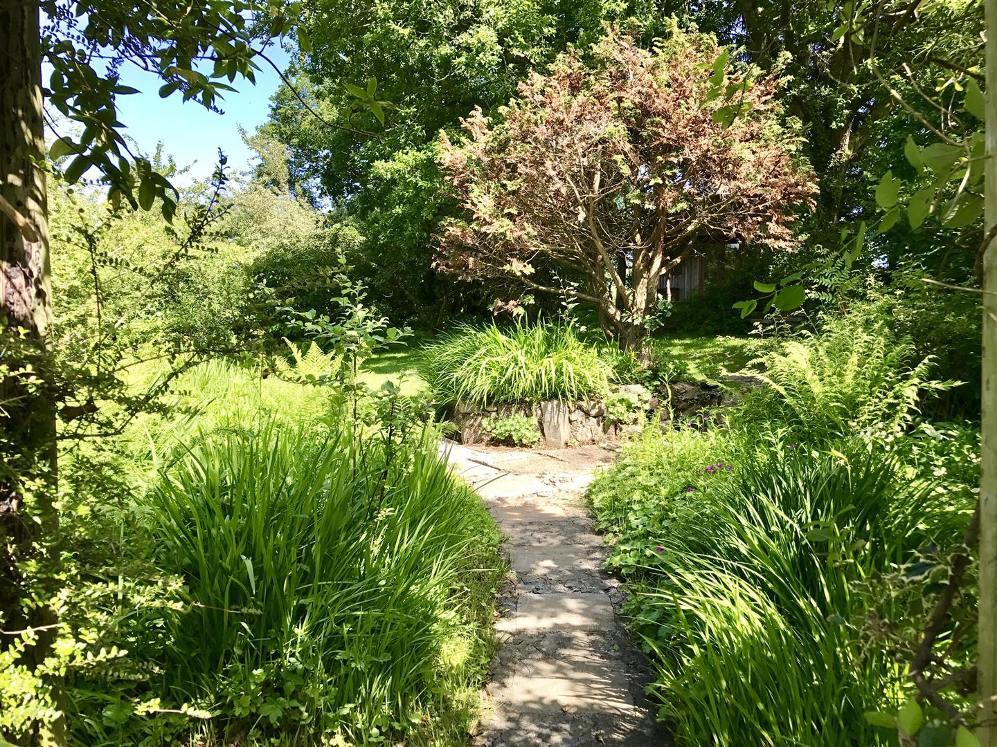 GROUNDS